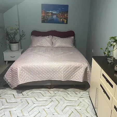 Appartamento Istanbul-sisli-halide Edip Adivar Mahallesinde *